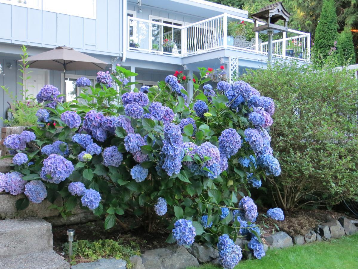 Caprice Bed & Breakfast Roberts Creek ภายนอก รูปภาพ